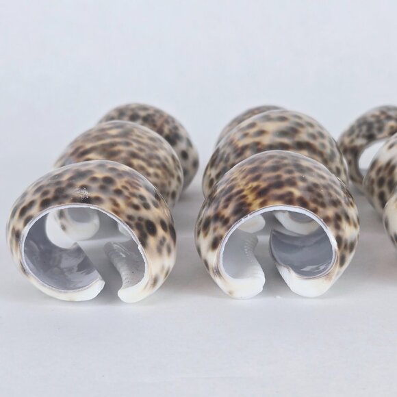 Set of 12 Cowrie Tiger Shell Napkin Rings Natural Seashell Table Decor Tableware - Picture 3 of 9